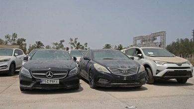 ردیف تعرفه خودروهای وارداتی از مجوز بهینه سازی مصارف ارزی استثنا شود