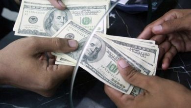 اسامی ارز بگیران بزرگ فاش شد؛ لیست را ببینید | این ۲ شرکت بیشترین ارز ترجیحی را گرفتند!