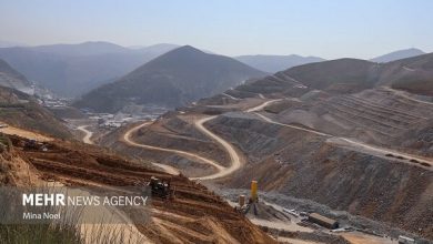 دریافت عوارض صادراتی بدون تعیین فهرست مواد خام، غیرقانونی است