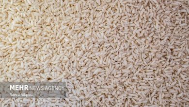 توزیع برنج پاکستانی با قیمت ۶۶ هزار و ۳۰۰ تومان در بازار توزیع برنج پاکستانی با قیمت ۶۶ هزار و ۳۰۰ تومان در بازار
