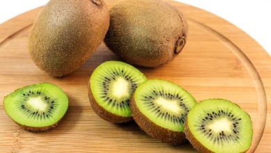 صادرات ۳۵ هزار تن کیوی ایرانی به ۲۳ کشور/ روسیه اولین مشتری