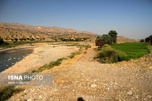 کشکانِ عطشان