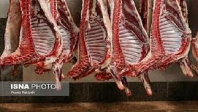 تولید و عرضه گوشت قرمز در کشور افزایش یافت