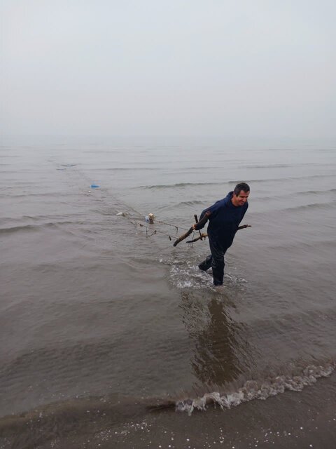 مدیرکل شیلات گیلان: صید غیرمجاز منابع آبزی دستدرازی به ثروت عمومی است