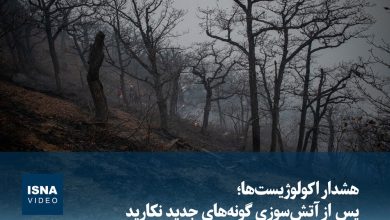 ویدیو/ هشدار اکولوژیست‌ها؛ پس از آتش‌سوزی، گونه‌های جدید نکارید