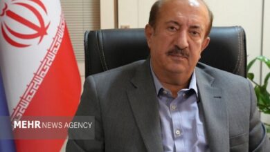 صمت: گرانی خودرو ناشی از یک جریان‌سازی مصنوعی است