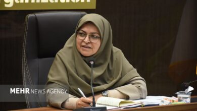 هم‌افزایی دستگاه‌های اجرایی تجارت خارجی را تسهیل و تسریع می‌کند